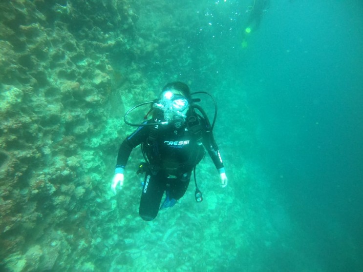 [D+178]갈라파고스 골든락 스쿠버다이빙-극악무도한 수중환경