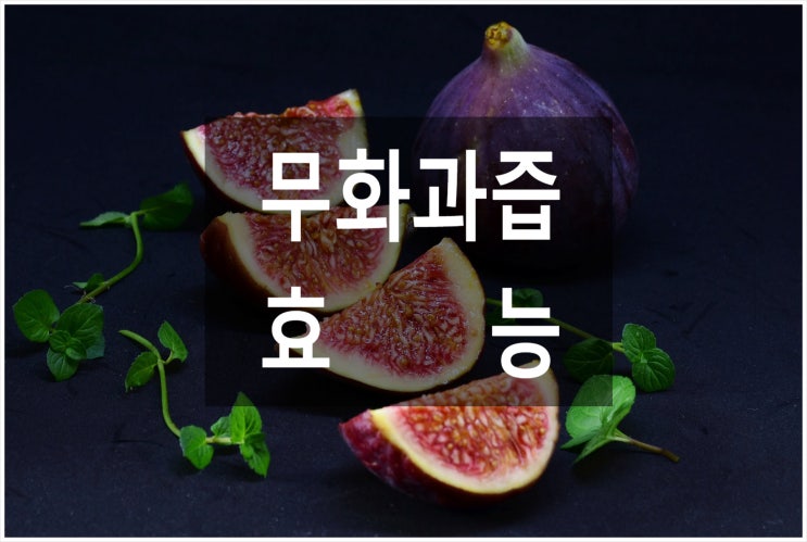  무화과즙 효능 눈건강에 좋은 차