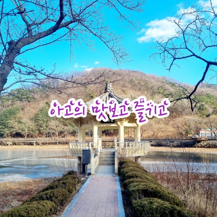  아고의 맛보고 즐기고~ 국내여행 W5