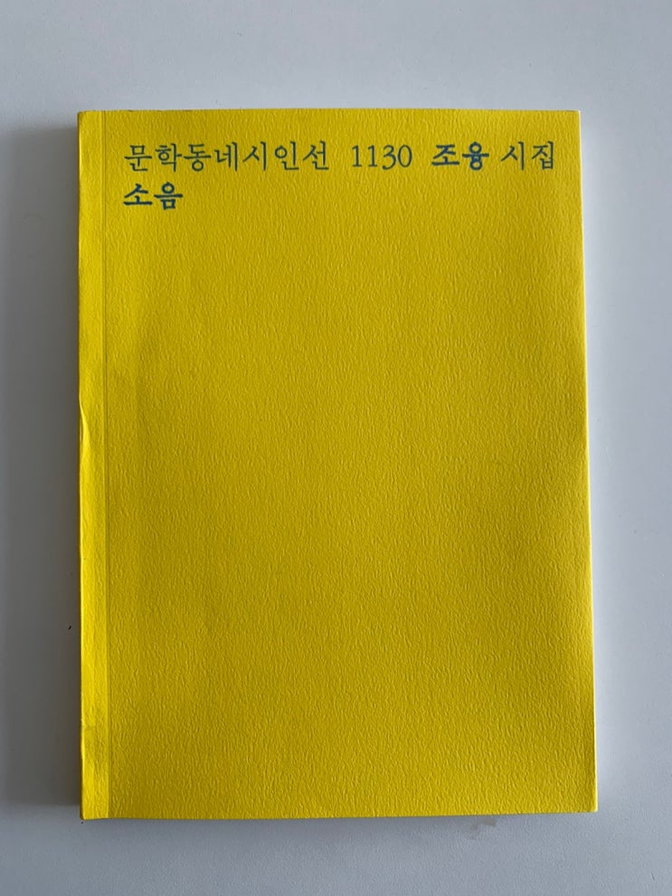 문학동네시인선 1028 조융 시집 <소음>