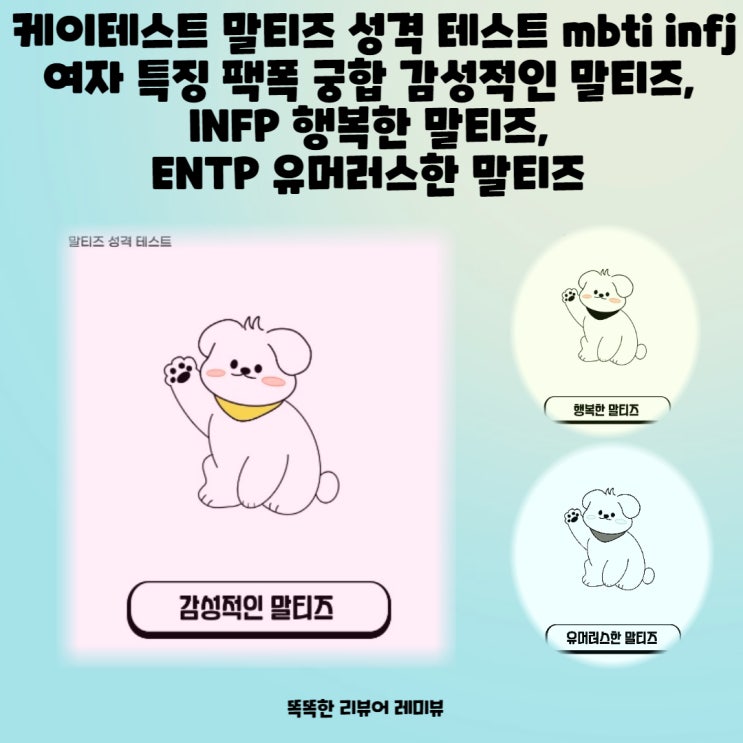 케이테스트 말티즈 성격 테스트 mbti infj 여자 특징 팩폭 궁합 감성적인 말티즈, INFP 행복한 말티즈, ENTP 유머러스한 말티즈