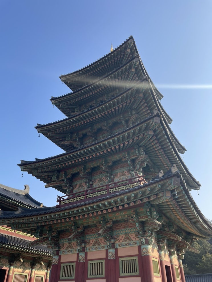  부여 롯데리조트 근처 볼거리 백제역사문화원