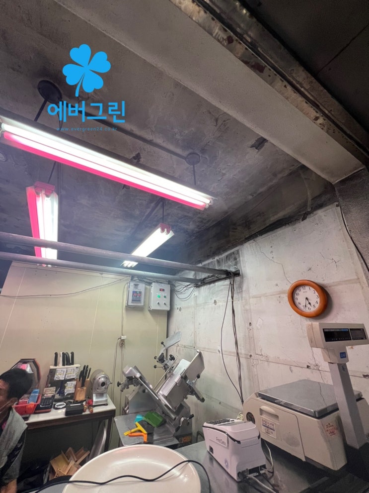  경기 인천 부천시장 정육점 화재청소 업체 비용 복구 복원 화재사고 화재사건