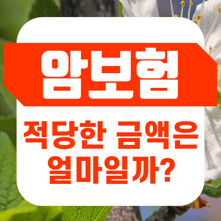  암진단보험 가입할 때 암보험 금액은 얼마 정도가 적당할까?
