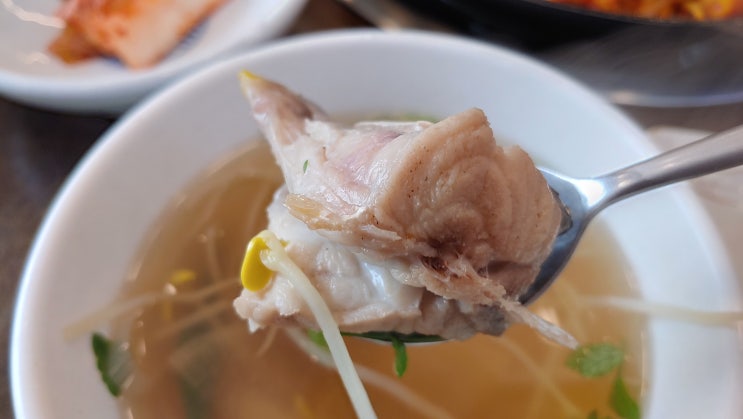 대구 다사 맛집 복어만찬 본점 코스세트 맛도 좋고 가격도 저렴하네요