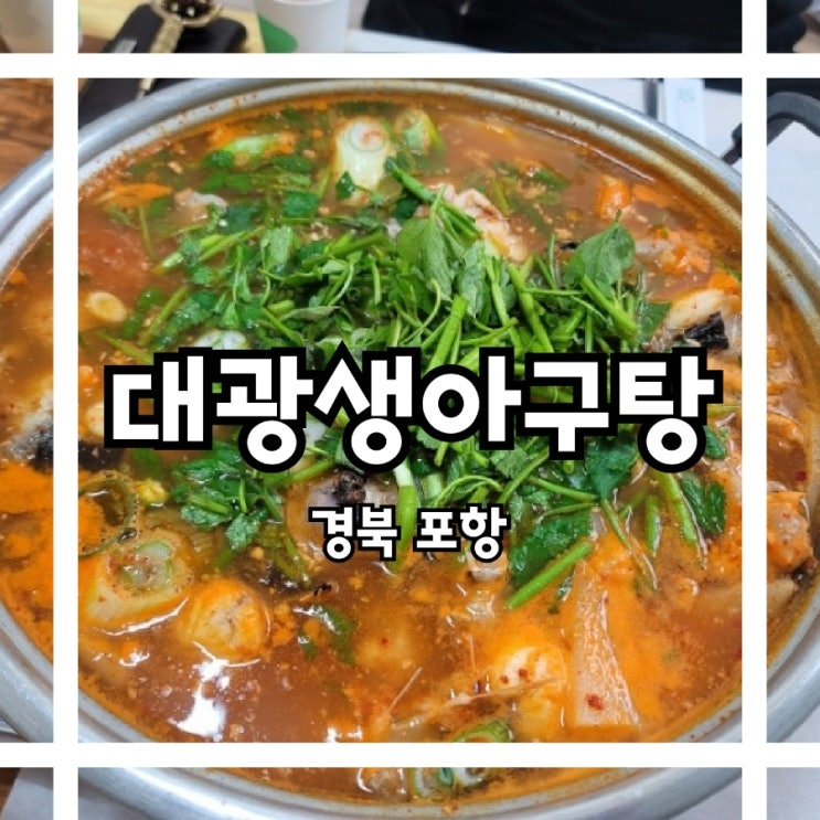  포항맛집 생아귀로 만드는 시원한 아귀탕 #대광생아구탕