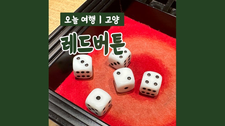 화정놀거리 화정보드게임카페 레드버튼 화정놀거리 화정보드게임카페 레드버튼