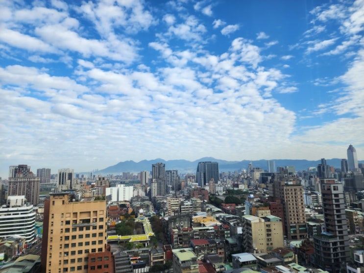  대만 출장 - 2일차(어쩌다 관광)