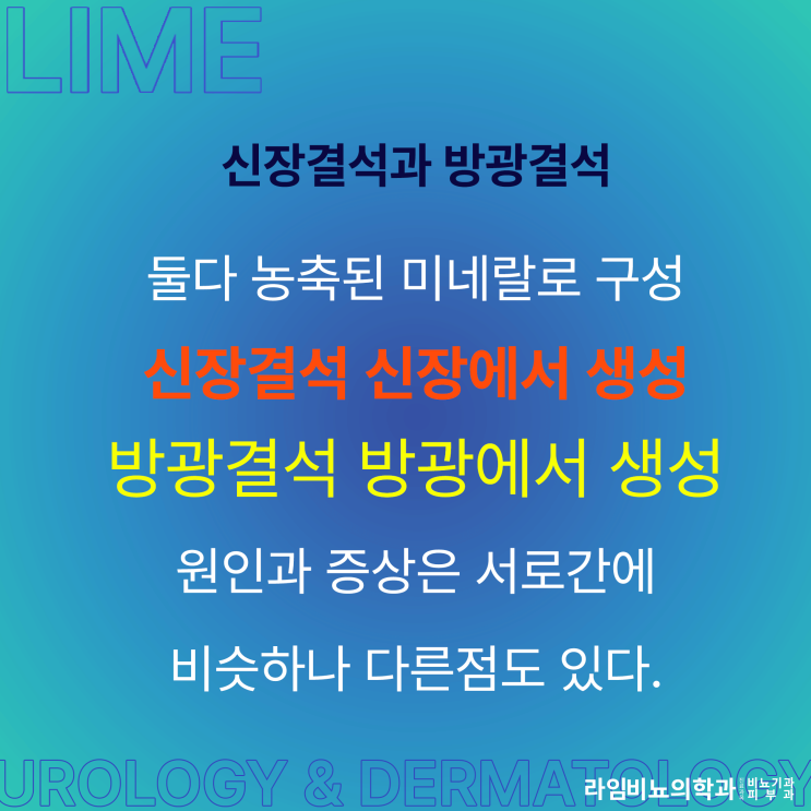  대구동구비뇨기과 라임비뇨의학과와 함께 방광결석과 신장결석에 대해 알아보시죠
