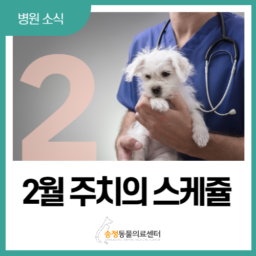  365일 연중무휴 동물병원 2월 주치의 진료표(경기광주 송정동물의료센터)