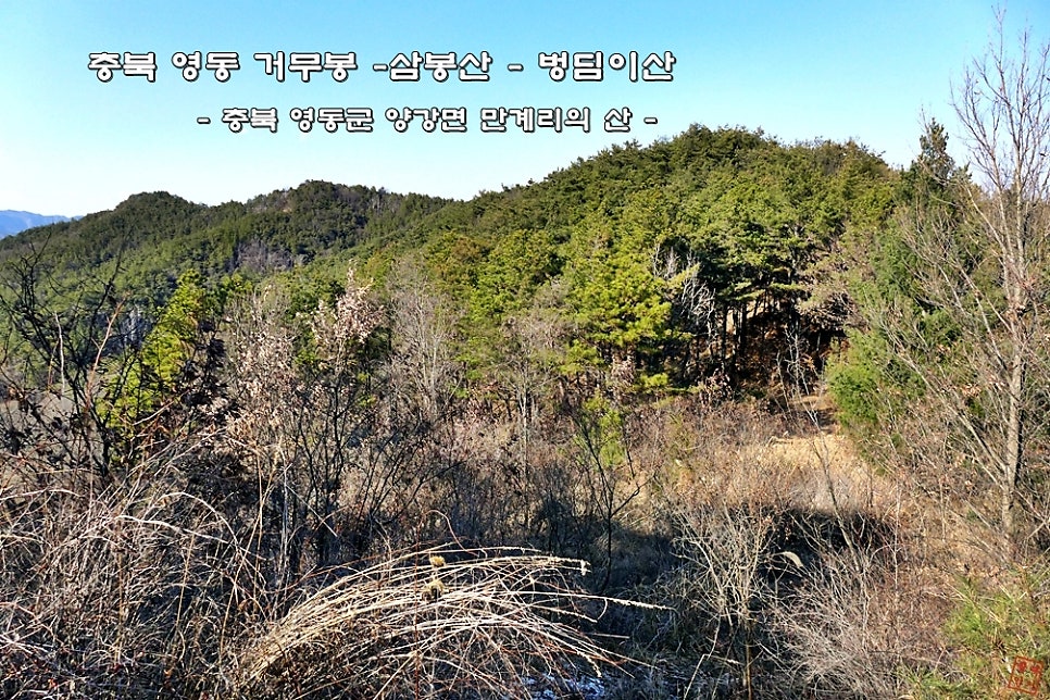 벙딤이산 사진 1