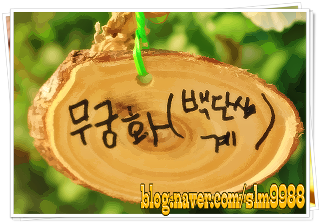  글쓰기 열풍 속에 우린 왜 글을 써야 할까요?