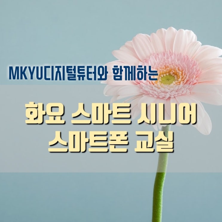  스마트폰 활용 교실 [화요 스마트 시니어 스마트폰 교실]- 홈플러스 문화센터 연산점