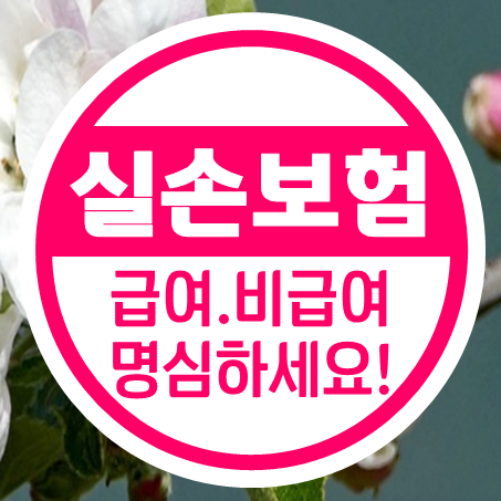  노인실손보험 비교할 때 간편실손보험 급여 비급여 내용을 명심하세요.