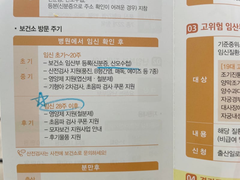 임산부 철분제 추천 빈혈수치 높이는 방법
