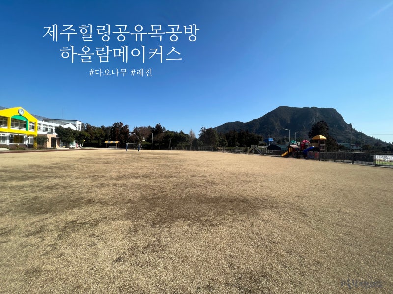 교사회의 테이블~? 다오나무 우드슬랩!!