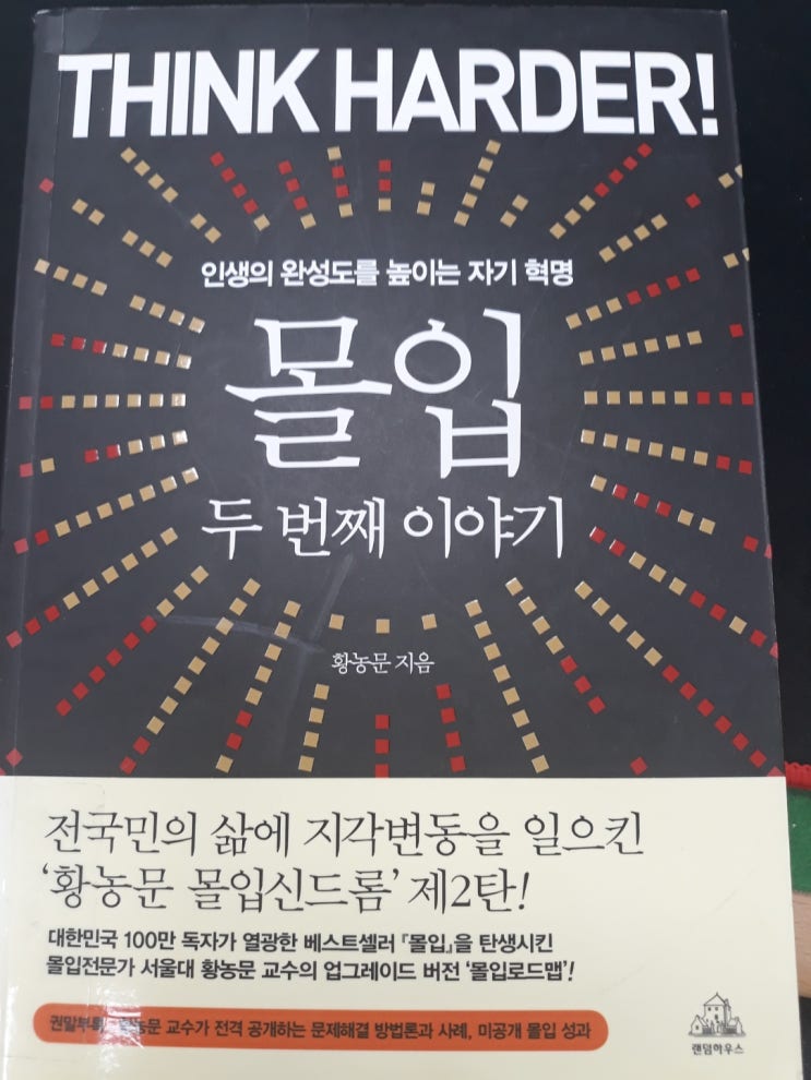  몰입-두 번째 이야기