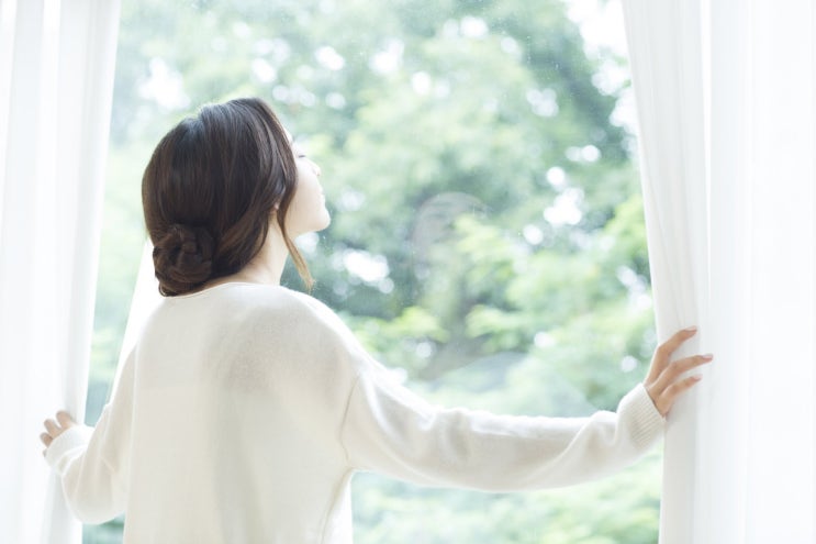  공간 분리를 위한 커튼, 브라인드도 인테리어에 활용해볼까요?