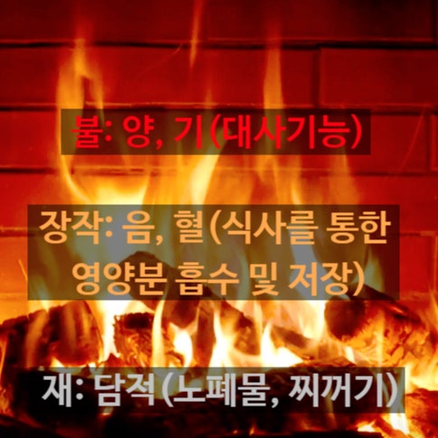  기가 허하다? 대사기능의 문제! 이것만 보시면 쉽습니다.