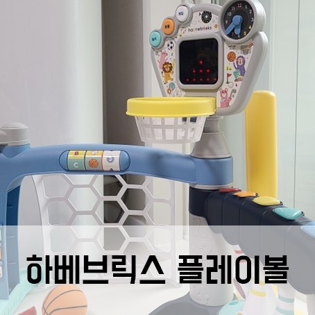 하베브릭스 플레이볼 18개월 아기장난감 내돈내산 추천