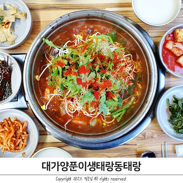 천안 동태찌개 막걸리 무료 두정동 밥집 대가양푼이 생태랑동태랑 천안 동태찌개 막걸리 무료 두정동 밥집 대가양푼이 생태랑동태랑
