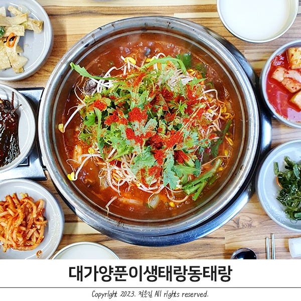 천안 동태찌개 막걸리 무료 두정동 밥집 대가양푼이 생태랑동태랑