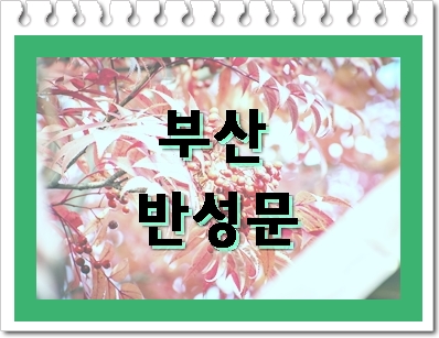  부산 반성문 행정사(음주운전 사건)