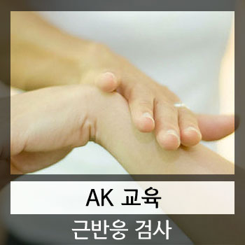  카이로프랙틱 AK 교육 [근반응 검사 및 림프, 혈관 반사점]