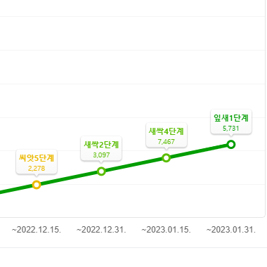 라이프리빌딩 카페 등급 잎새 1단계! 폭풍 성장 노하우는?