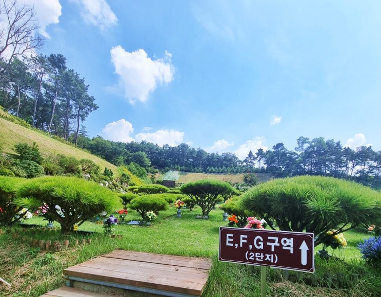  용인수목장 필히 고려할 장점