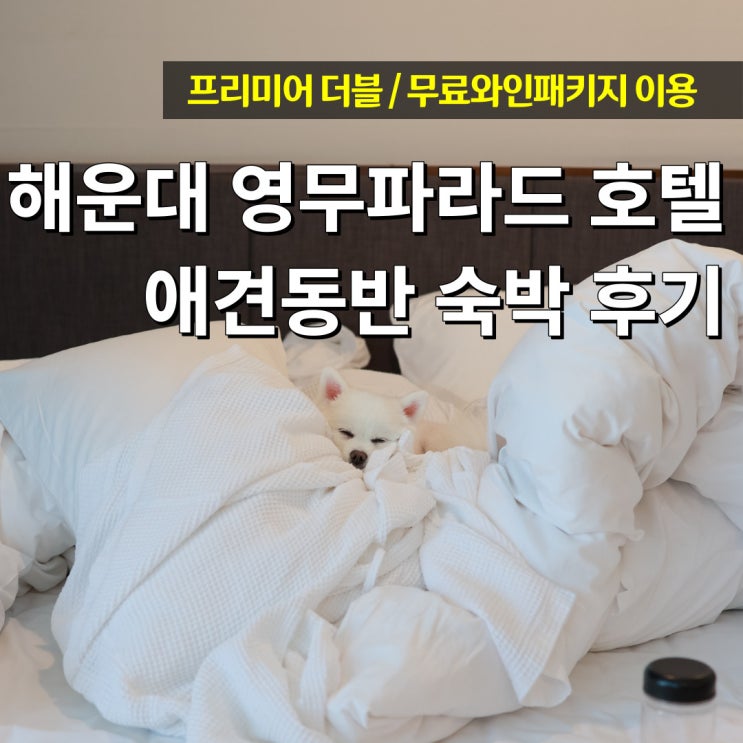  부산애견동반여행 해운대 영무파라드 호텔 후기