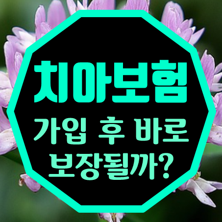  무진단치아보험 가입 후 무진단형으로 치과 보험 적용받기까지 기간은 얼마나 걸릴까?