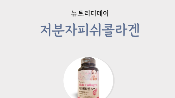  저분자 피쉬콜라겐 펩타이드  500mg - 콜라겐 효능