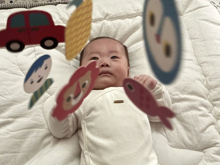  블루래빗 아이큐베이비 추천육아템(아기 첫 그림책&모빌, 손감각 발달토이, 컵쌓기 블록)