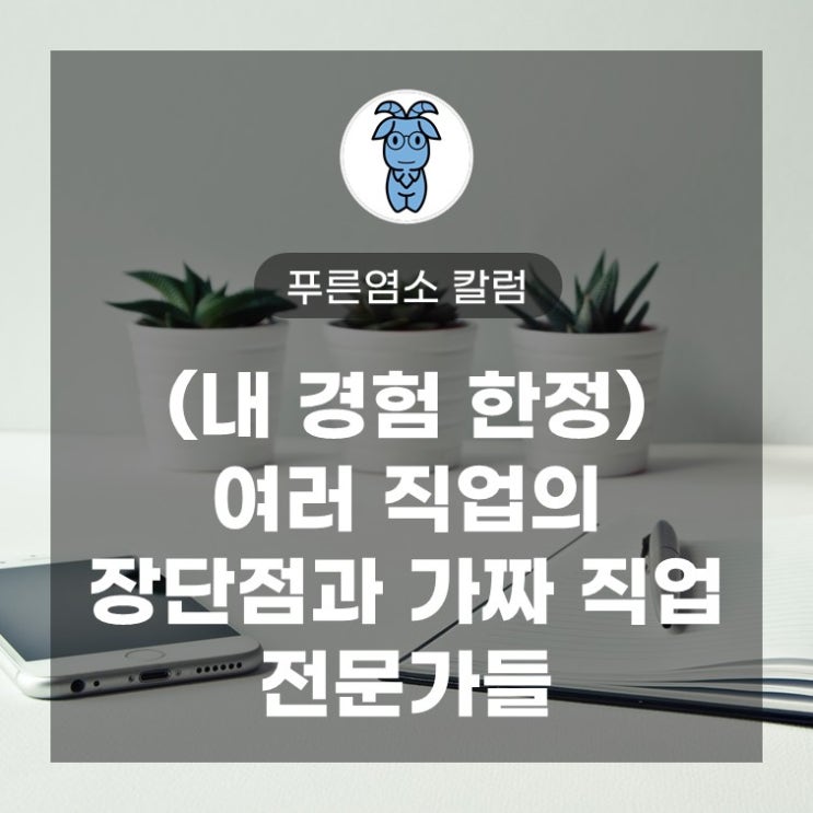 (내 경험 한정) 여러 직업의 장단점과 가짜 직업 전문가들