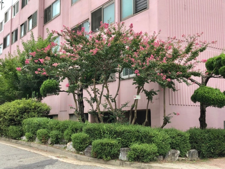  광주광역시 전세 물량체크