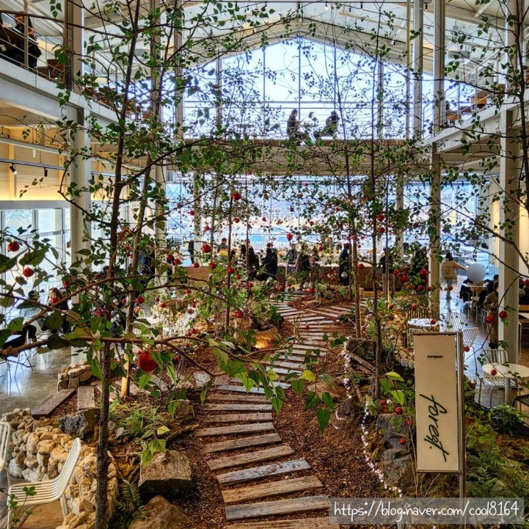  경산 대평동 베이커리 카페, 숲 속에 있는 듯한 정원 카페, 마고포레스트(Margaux forest)