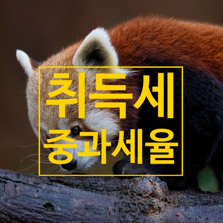  세법/ 취득세/ 중과세율