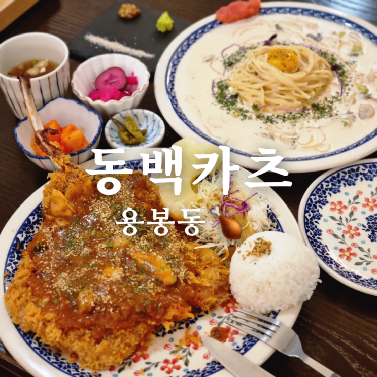  [광주 북구 용봉동 돈까스 맛집] 동백카츠 용봉점