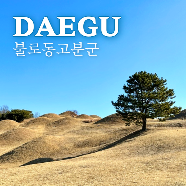  불로동고분군 대구 동구 가볼만한곳 사진찍기좋은 SNS핫플
