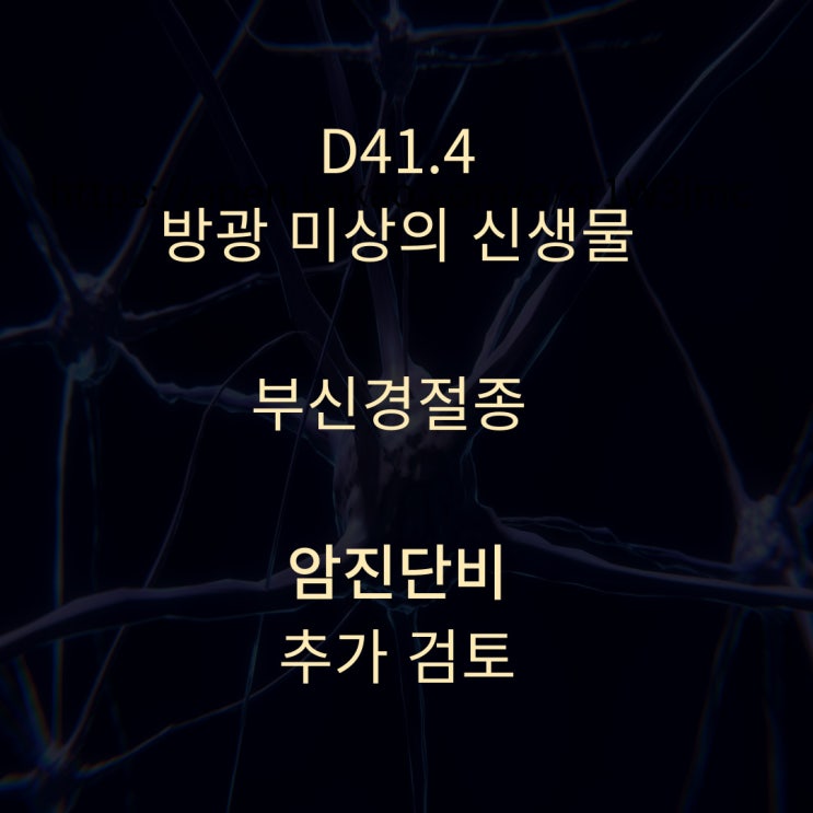  D41.4 방광 부신경절종( Paraganglioma) 암진단비 전액보상 가능 판단!!