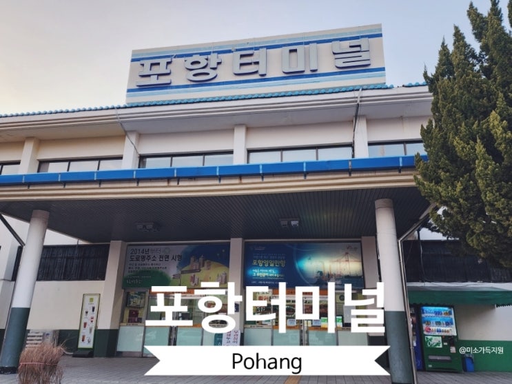  포항터미널 알쓸신잡 시간표 편의시설 심야버스