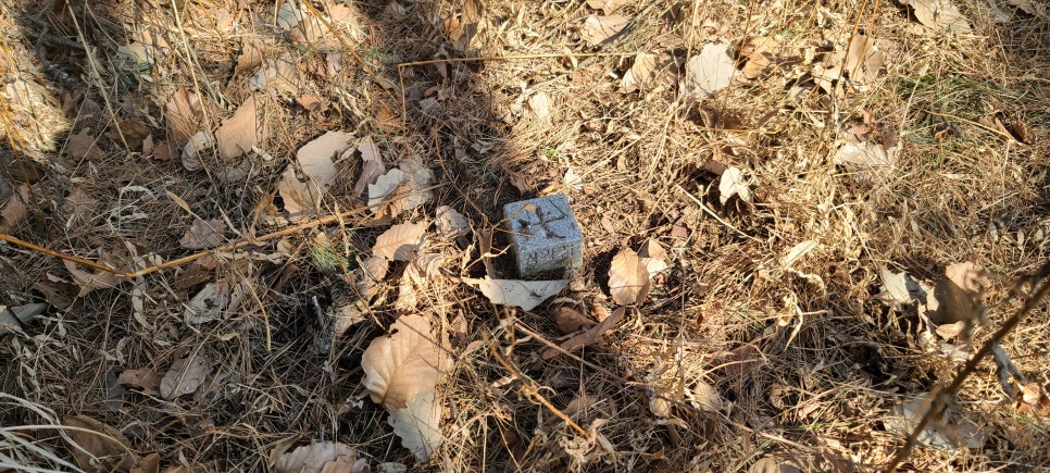 송청산 사진 4