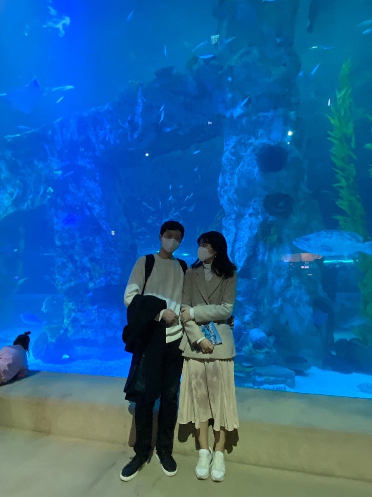  잠실 이색데이트, 롯데월드 아쿠아리움 이용후기