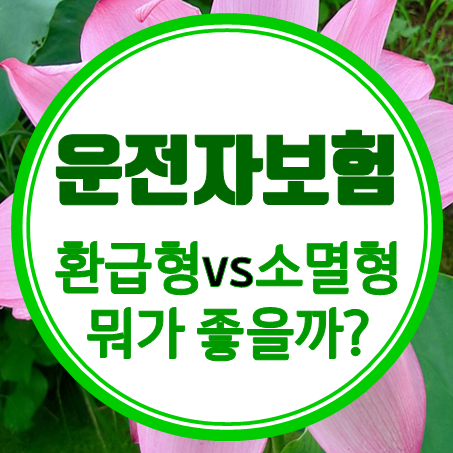  만기환급형운전자보험 가입 vs 소멸성 순수보장형운전자보험 여러분의 선택은?