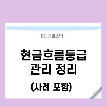  중소기업 현금흐름등급 관리(조회 등급표 계산 NR 포함)