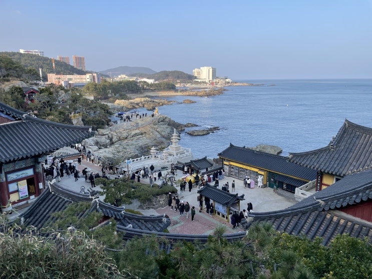  국내여행 부산 기장 바다가 보이는 절 해동용궁사 (주차/리뷰)
