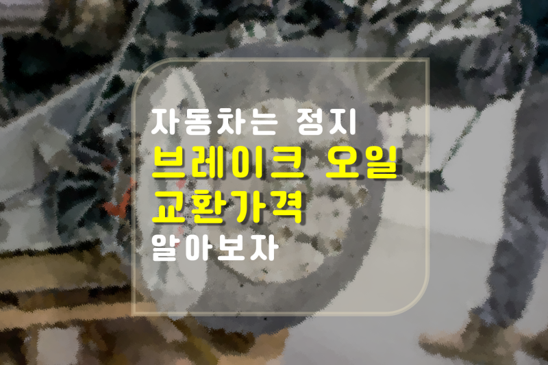 브레이크 오일 가격, 자동차는 잘 멈추어야 한다