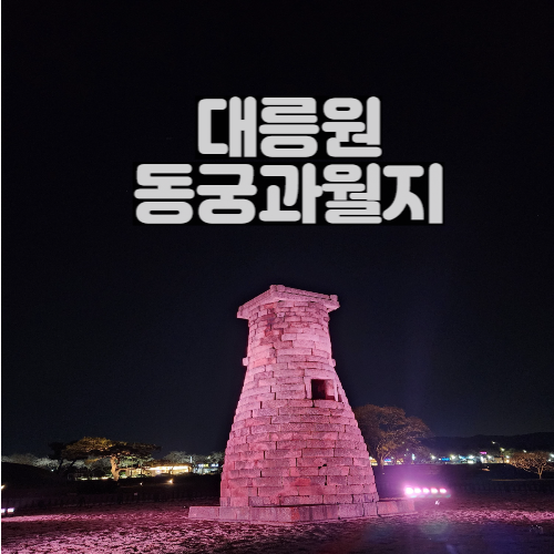 대릉원 첨성대 동궁과월지 야경 주차팁 경주 여행 코스