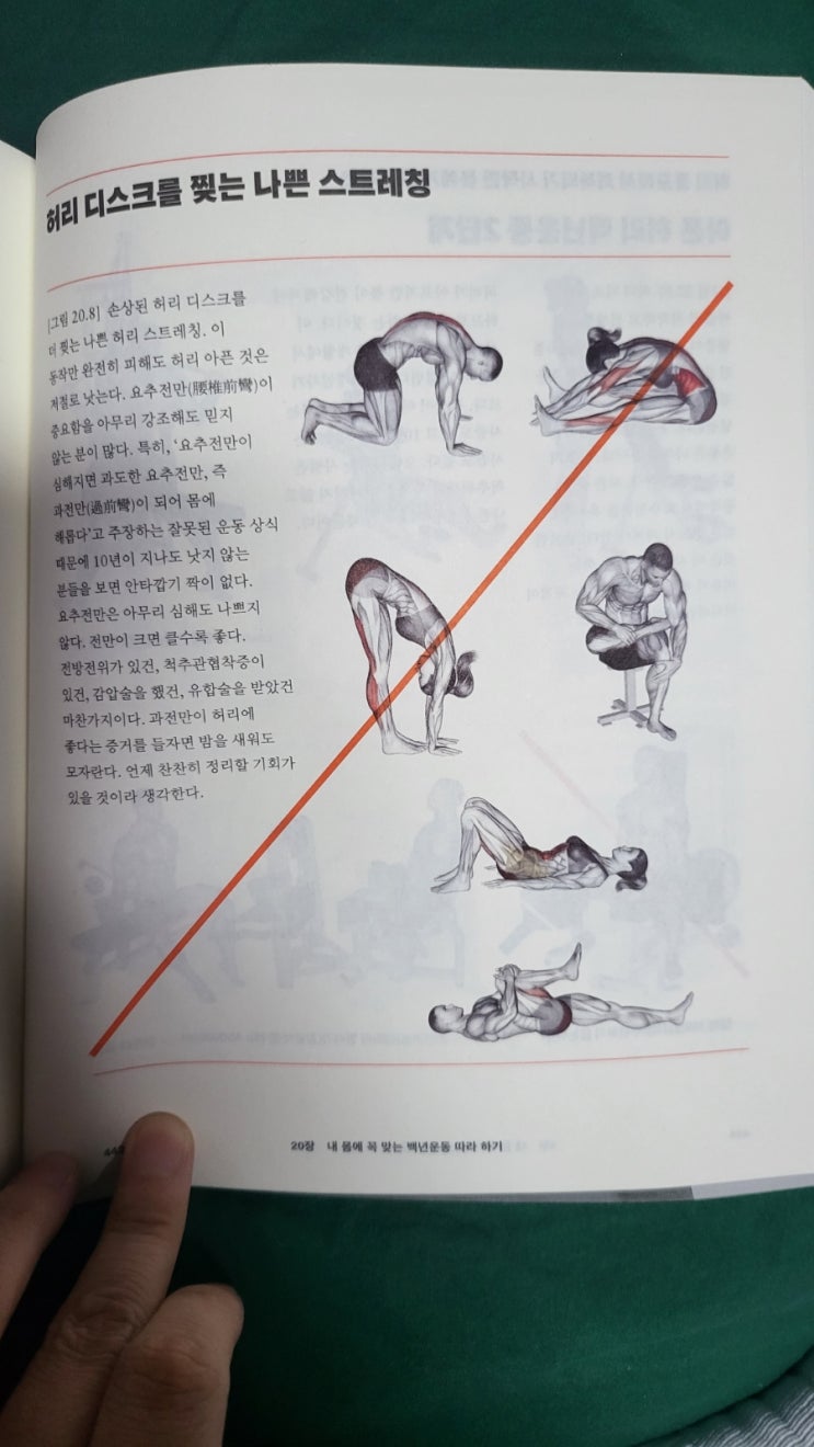  다이어트캠프 생활 기록 ③ (10월)